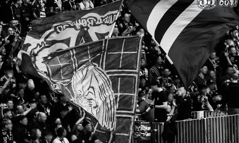 Design sans titre.png