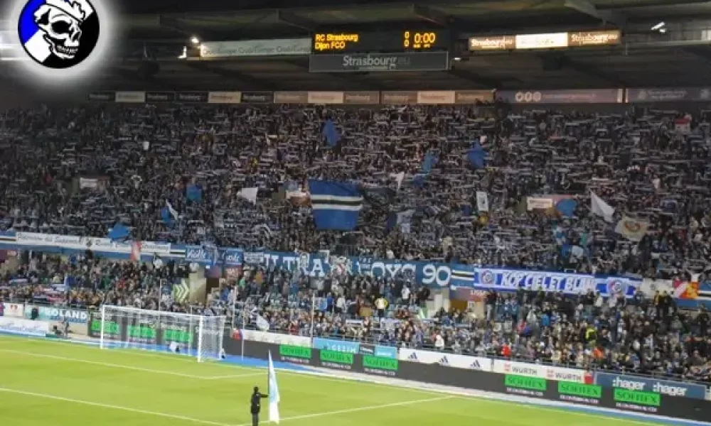 Dijon1.jpg