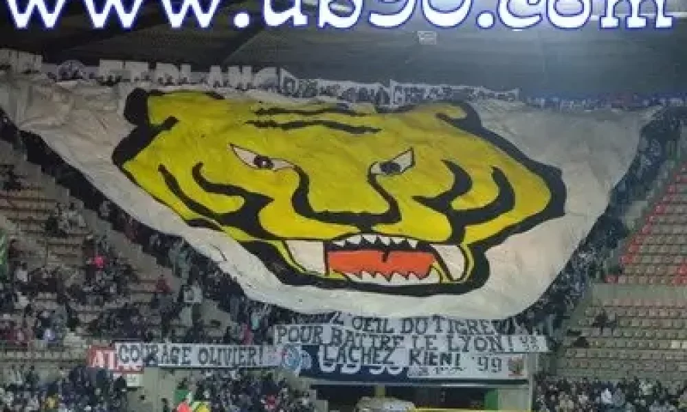 Lyon1.jpeg