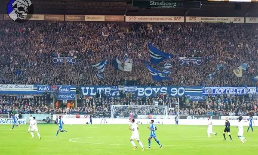 OM20.jpg