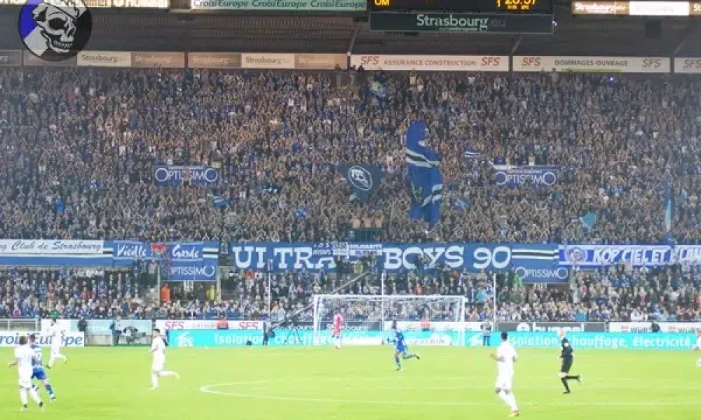 OM23.jpg