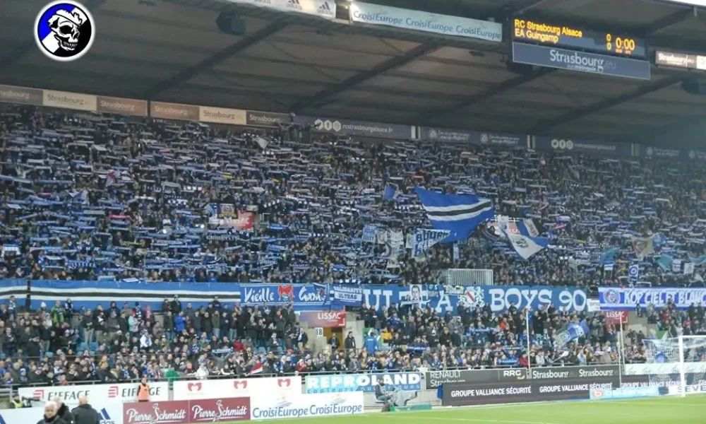 RCSGnp3.jpg