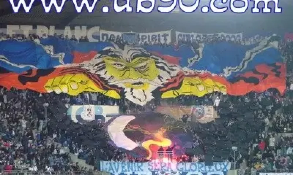 Rcs-om-09.jpg