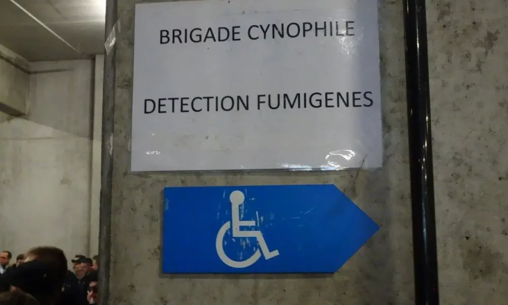 aLille3.jpg