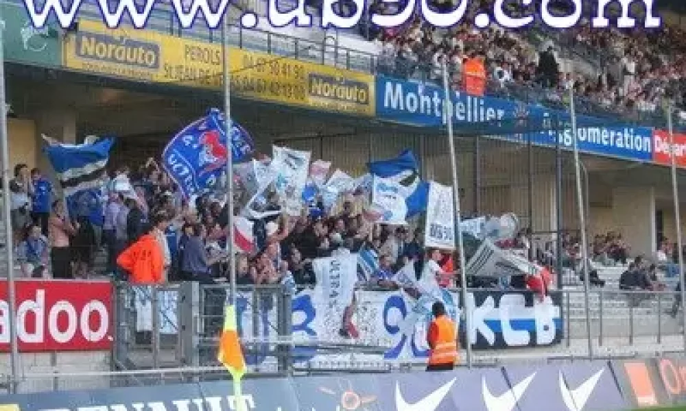 amontpellier2.jpg