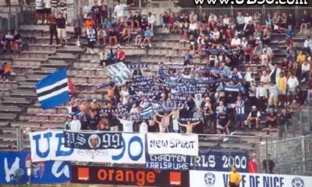 anice1-1.jpg
