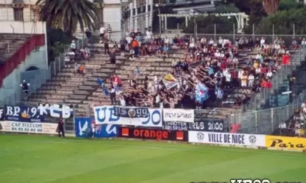 anice2-1.jpg