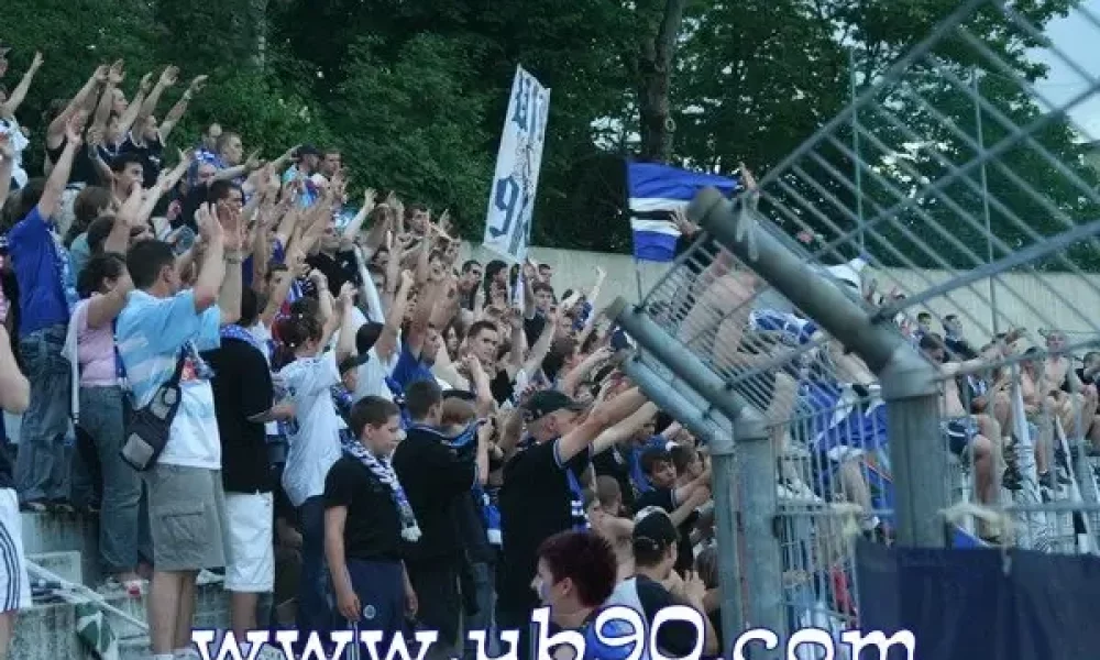 dijon-rcs05.jpeg