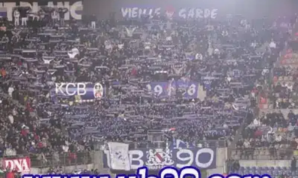 estac6.jpg