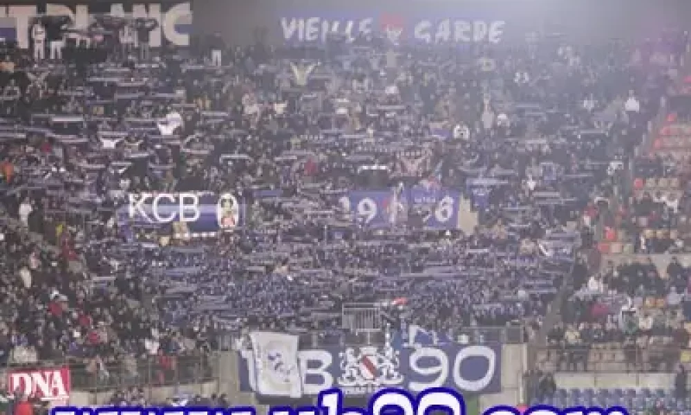 estac6.jpg