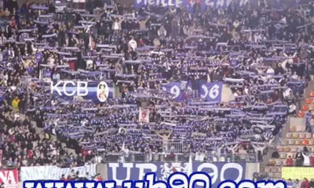 losc6.jpg