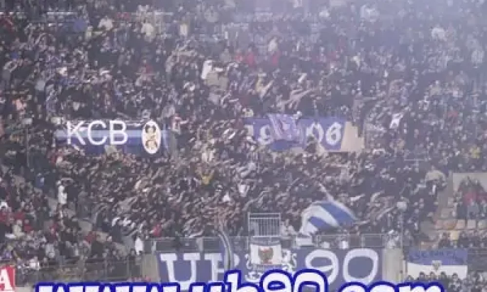 lyon8.jpg