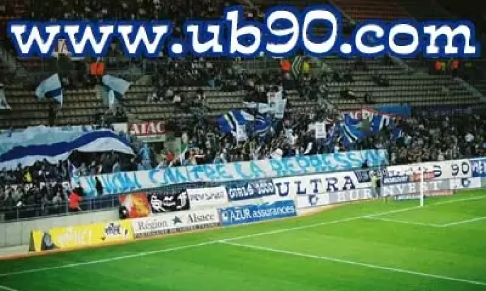 montpellier1-2.jpg