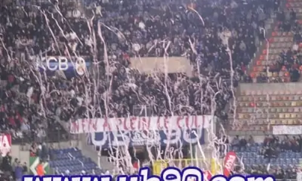 psg3.jpg