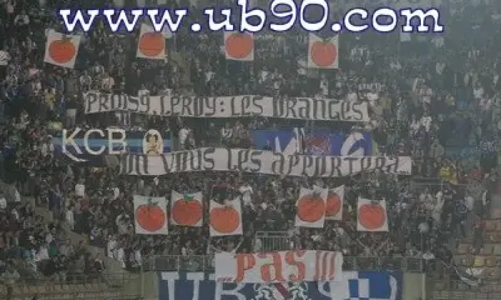 rcs-grenoble-06.jpeg