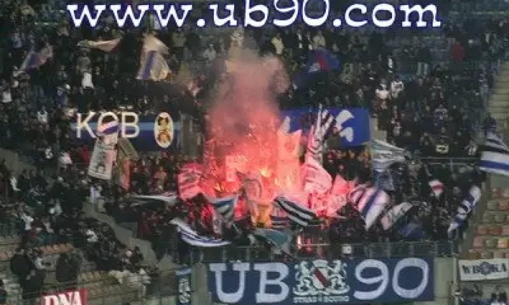 rcs-niort02.jpeg