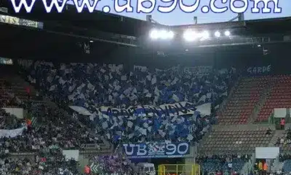 toulouse1-1.jpg